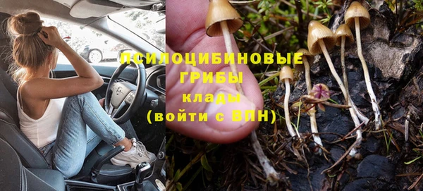 дмт Иннополис