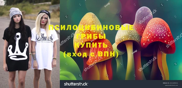 дмт Иннополис