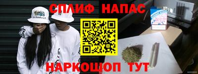 сатива Краснодар