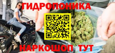 сатива Краснодар