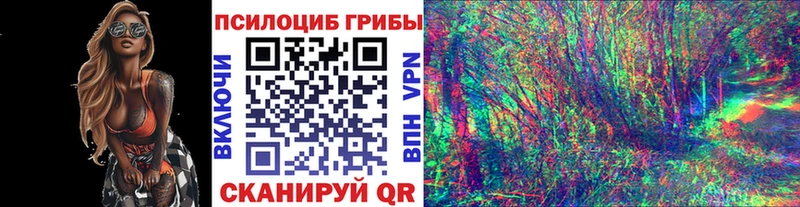 Псилоцибиновые грибы Magic Shrooms  Каменка 