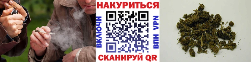 kraken   Каменка  Конопля MAZAR 
